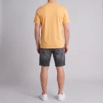 Apricot Regular Fit T-Shirt