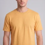 Apricot Regular Fit T-Shirt